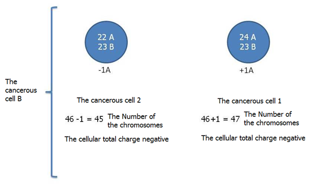 cancer-b